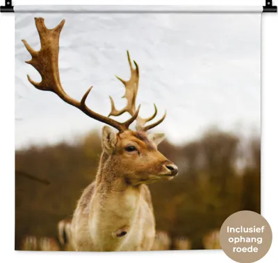 Produktbild von MuchoWow® Wandteppich Wandbehang Damhirsch - Wald - Herde - Tiere - Natur 60x60 cm Tapisserie Dekoration Wandtuch - Dekorationen - Wand Decke