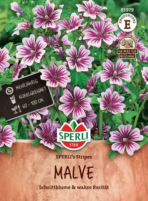 Produktbild von SPERLI Malvensamen Stripes Malva sylvestris 60 Pflanzen