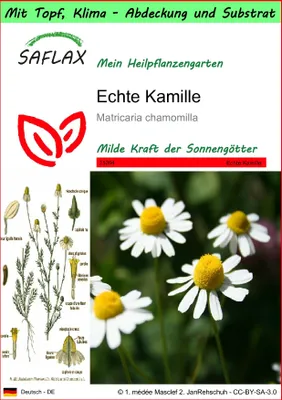 Produktbild von SAFLAX Garden to go - Echte Kamille - Matricaria chamomilla - 300 Samen - Mit Topf, Klima - Deckel und Anzuchtsubstrat