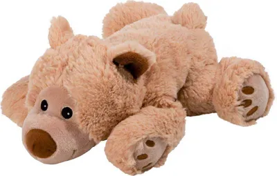 Image de Warmies Teddy Bear Heat Cuddle