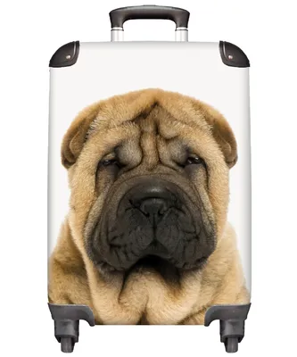 Obrázok produktu pre NoBoringSuitcases.com® Kufre Príručný vozík Trolley Trolley Malý cestovný kufor so 4 kolieskami - Pes - Skladací - Shar Pei - Šteniatko - Veľkosť kabíny < 55x40x23 cm a 55x40x20 cm - Foto kufor - Kabínový kufor - Palubná batožina - Detský kufor - Detský vozík.