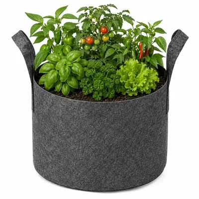 Produktbild von 1 Stück 10 Gallon Pflanzsack Vliesstoff Pflanztaschen mit Griffen Pflanzbeutel Wachstumstasche für Kartoffeln, Tomaten, Gemüse, Blumen