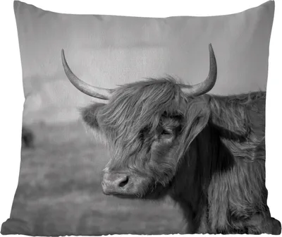 Produktbild von MuchoWow® Outdoor Kissen - Schottisches Hochlandrind - Tiere - Schwarz - Weiß - 40x40 cm - Wetterfest - Lounge Kissen - Kopfkissen - Interieur - Polster mit Bild