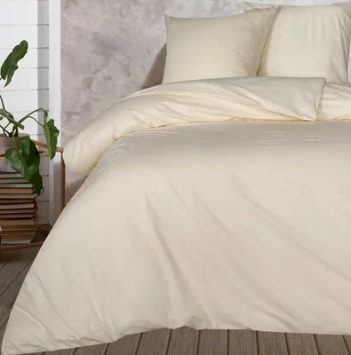A neatly made bed with beige bedding, set against a textured wall and wooden floor. A potted plant is visible to the left.