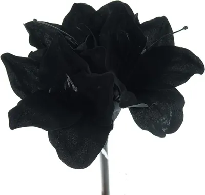 Produktbild von GASPER Amaryllis - Ritterstern Schwarz wie die Nacht 50 cm - Kunstblumen