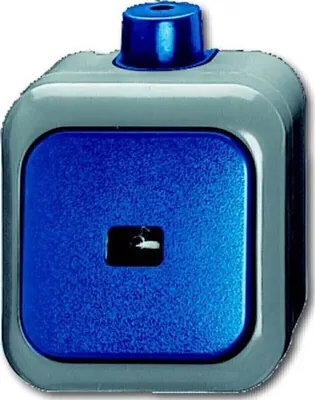 Obrázok produktu pre Busch Jaeger 2621 WDI Elektroschalter 1P Grün - Grau (1483-0-0171)