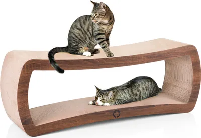 Produktbild von Kratzbrett Jumbo Galaxy XL · 100 x 26 x 34 cm · walnuss