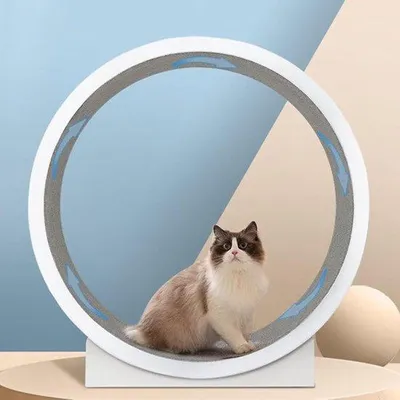 Produktbild von Katzenlaufband - Innovatives Spielgerät für Innenkatzen - 120 cm Durchmesser - Holzfarbe