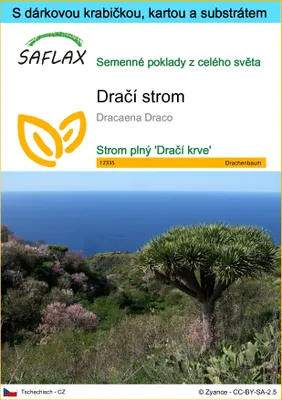 Obrázek produktu pro SAFLAX Dárková sada - dračí strom - Dracaena Draco - 5 Semena - S dárkovou krabičkou, přepravním štítkem, dárkovou kartou a pěstebním médiem