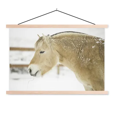 Produktbild von MuchoWow® Textilposter Nahaufnahme eines Fjordpferdes im Schnee 60x40 cm mit holzfarbenen Rahmen - Bilder