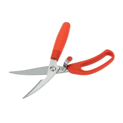 Immagine prodotto di Vergionic 5002 Cesoie da cucina 24 cm