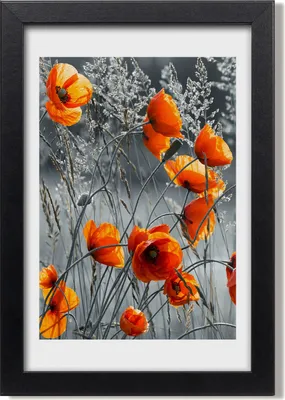 Produktbild von Bild 20x30 MDF-Rahmen, Wandkunst Feldmohnblumen