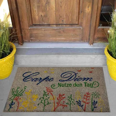 Produktbild von Bestlivings Fußmatte Kokos Schuhabtreter 50x75cm in grau ( Hund )