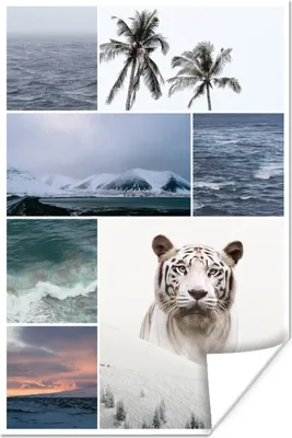 Produktbild von MuchoWow® Poster Tiger - Collage - Schnee - Palme 60x90 cm - Wanddekoration