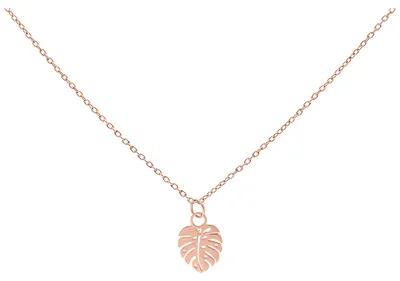 Produktbild von Wildcat Halskette - Monstera Leaf Kette - Roségold - Chirurgenstahl 316L - wasserfest, langlebig, hautverträglich, Roségold