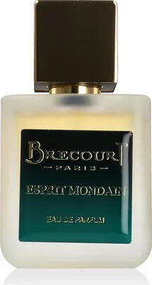 Zdjęcie produktu dla Brecourt Esprit Mondain Woda perfumowana 50 ml (dla mężczyzn)