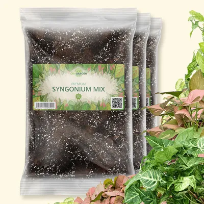 Produktbild von OraGarden Syngonium-Erde 9 Liter