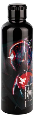 Productafbeelding van Titel: Paladone Miles Morales Spider-Man metalen waterfles, 500 ml