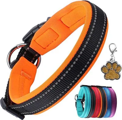 Imagen del producto de Collar para perros Unyqoos® ajustable, ligero y acolchado (neopreno/nylon), reflectante, con placa de identificación, hebilla de seguridad y argolla de acero inoxidable, color naranja, talla M (40–45 cm)
