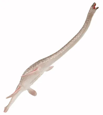 Obrázok produktu pre Collecta 88922 Elasmosaurus 23 cm Dinosaurus