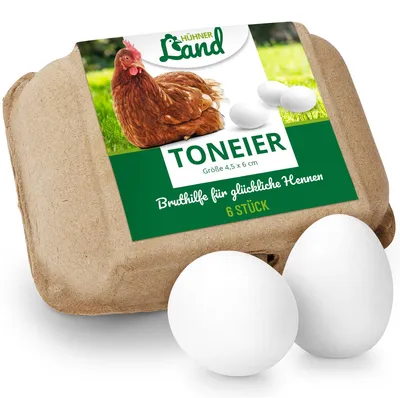 Produktbild von HÜHNER Land Toneier für Hühner & Geflügel 6 Stück, Bruthilfe, Gipseier Hühner, Naturgetreue Nesteier, Legeeier zur Bruthilfe, künstliche Hühnereier
