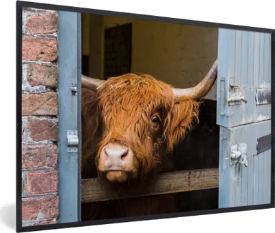 Produktbild von MuchoWow® MuchoWow® Gerahmtes Poster Schottisches Hochlandrind - Bauernhaus - Scheune 90x60 cm - Poster mit zchwarzem Bilderrahmen - Fotorahmen - Foto-Plakat