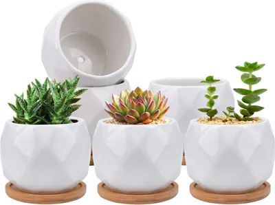 Zdjęcie produktu dla Jucoan ceramiczna sadzarka do sukulentów bambusowa taca doniczka biały zestaw 6 sztuk