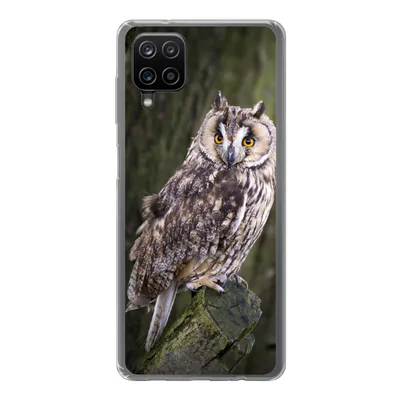 Produktbild von MuchoWow® Handyhülle Schutzhülle Hülle für Samsung Galaxy A12 Eule - Nahaufnahme - Baum Silikon Softcase Handy Hülle - Bild