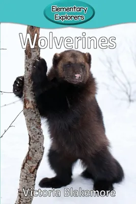Produktbild von Wolverines