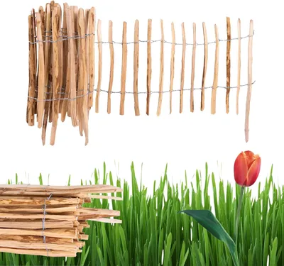 A wooden fence and a tulip in grass.