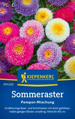 Produktbild von Kiepenkerl Sommerastersamen Pompon 70 Pflanzen