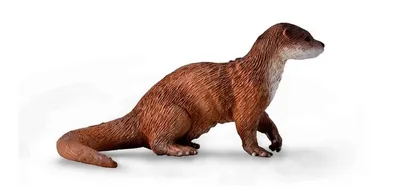 Image de Collecta 88941 Loutre 8 cm Animaux sauvages