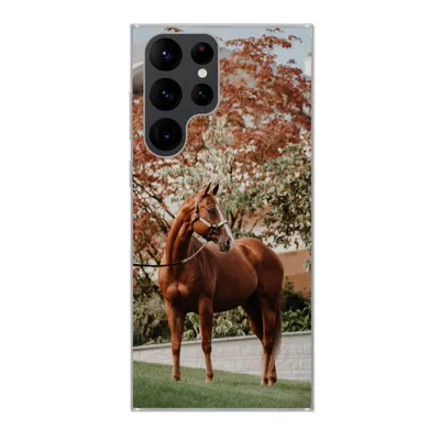 Produktbild von MuchoWow® Handyhülle Schutzhülle Hülle für Samsung Galaxy S22 Ultra Pferd - Baum - Halfter Silikon Softcase Handy Hülle - Abbildung