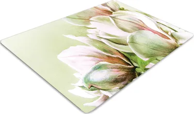 Produktbild von Podlahová ochranná podložka - Ochranná podložka pod stoličku - Podlahová podložka - 100x70 cm - Kvety magnólie