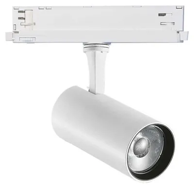 Image de Spot Ideal Lux Fox 25 W, IRC 90, 3 000 K, DALI 302621