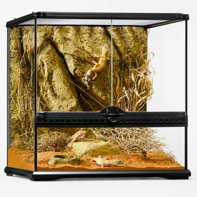 Productafbeelding van Exo Terra Glazen terrarium met achterwand, AI-gegenereerde afbeelding