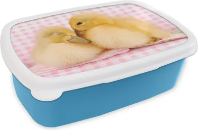 Produktbild von KitchenYeah® Lunchbox Brotzeit Brotdose 17x11 cm Ente - Liebe - Küken Kinder Brotzeitdose - Lunch - Kunststoff  - Brotbüchse - Sandwichbox - Lunchbox für Kinder