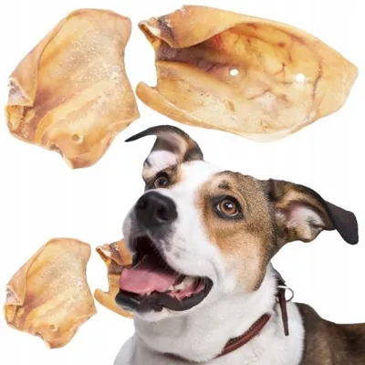 Image de Animille 1 pièce 45g Oreilles de porc séchées naturelles pour chiens - Friandise saine à mâcher sans conservateurs