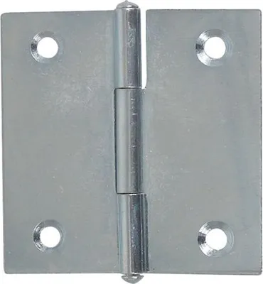 Image de Charnière Carrée 40x40mm Zinguée Fixation Robuste Pour Meuble - Afbat