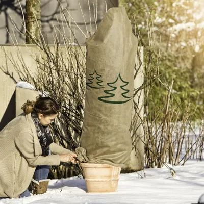 Produktbild von windhager Deko-Haube Protect L 0,6 x 1,8 m, beige mit Tannenmotiv