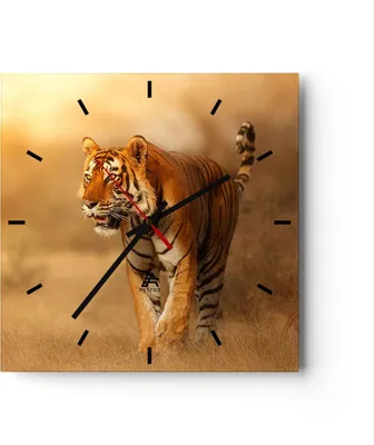 Produktbild von Wanduhr - Quadrat - Glasuhr - tiger tier - 40x40cm - Schleichendes Uhrwerk - Lautlos - zum Aufhängen bereit - Dekoration Modern - Wanddekoration aus Glas - C3AC40x40-3946