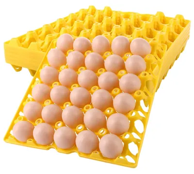 Obrázok produktu pre 20 kusov držiakov na vajíčka, plastové, vhodné do chladničky