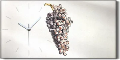 Produktbild von Wanduhr Uhr Wandbild Leinwand Geräuschlos 60x30 Gemälde Obst Trauben Kunst - weiße Hände