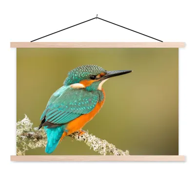 Produktbild von MuchoWow® Textilposter Eisvogel - Tiere - Vogel 120x80 cm mit holzfarbenen Rahmen - Aufhängeset