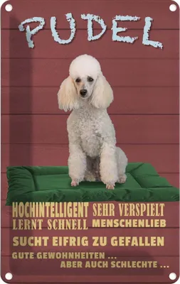 Produktbild von vianmo Blechschild 18x12 cm Pudel hochintelligent lieb Hund Tier Haustier