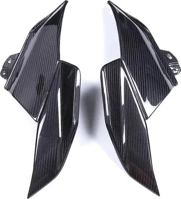 Produktbild von Carbon Seitenverkleidung für BMW R 1300 GS 2024-