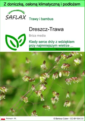 Zdjęcie produktu dla SAFLAX - Garden to go - Dreszcz-Trawa - 75 Nasiona - Z doniczką, pokrywą klimatyczną i podłożem do uprawy - Briza media