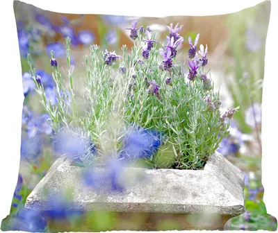 Produktbild von MuchoWow® Zierkissen Sofakissen Wohnzimmer Dekokissen 50x50 cm Nahaufnahme von Lavendel in einem Garten - Komfort - Sofakissen