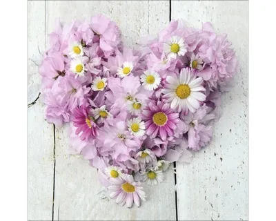 Produktbild von Glasbild Flower Heart II 30x30 cm