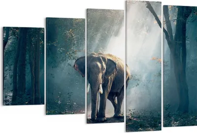 Produktbild von Bild auf Leinwand - Leinwandbild - elefant natur - 150x100cm - Wand Bild - Wanddeko - Wandbilder - Leinwanddruck - Bilder - Kunstdruck - Wanddekoration - Leinwand bilder - Wandkunst - EG150x100-3972